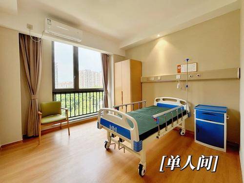 越秀康养悦麓居