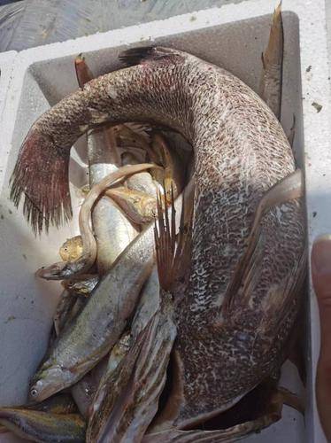 象山石浦海岛休闲渔业