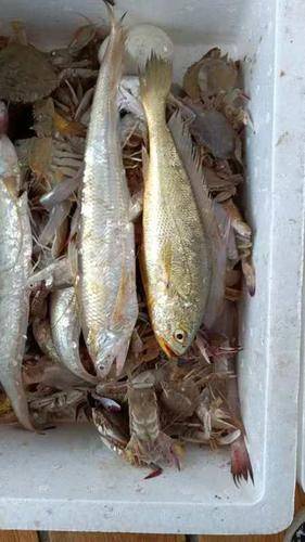 象山石浦海岛休闲渔业