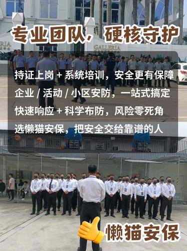 广东懒猫安保服务有限公司