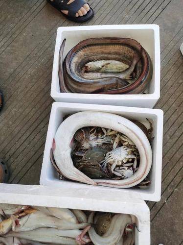 象山石浦海岛休闲渔业