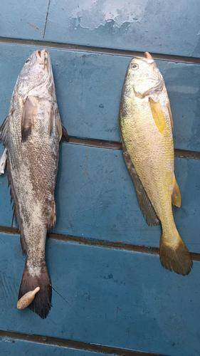 象山石浦海岛休闲渔业