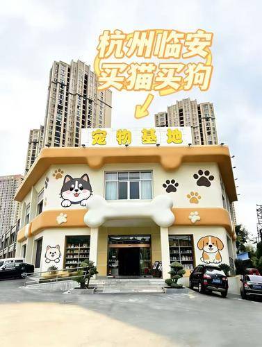 宠汪宠喵