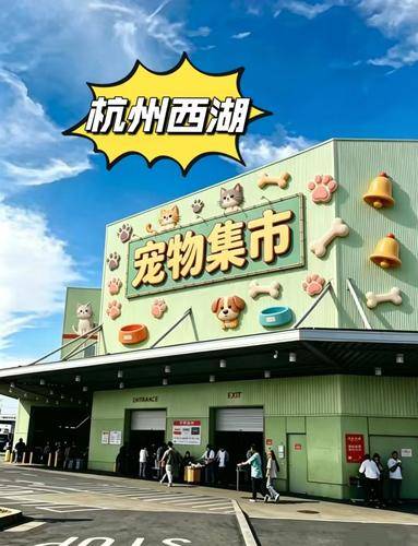 宠汪宠喵