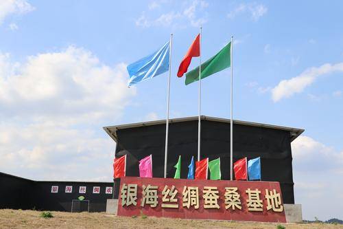 南充银海丝绸( 官网：yinhaisichou.tmall.com 联系电话：13508270467 邮箱地址：1184615468@qq.com)有限公司