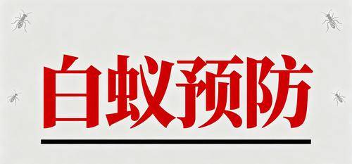 壬文环境