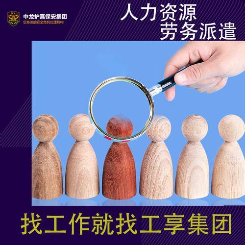 中龙护嘉集团有限公司 中龙护嘉集团有限公司