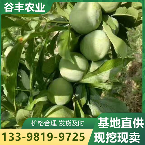 四川谷丰农业技术有限公司