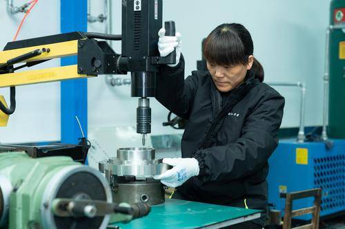 蓝天机械密封件（嘉兴）有限公司