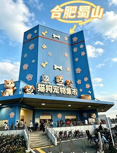 宠汪宠喵