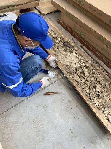 广州市白蚁防治中心( 官网：https://guangzhou075828.11467.com/ 联系电话：18028655332)
