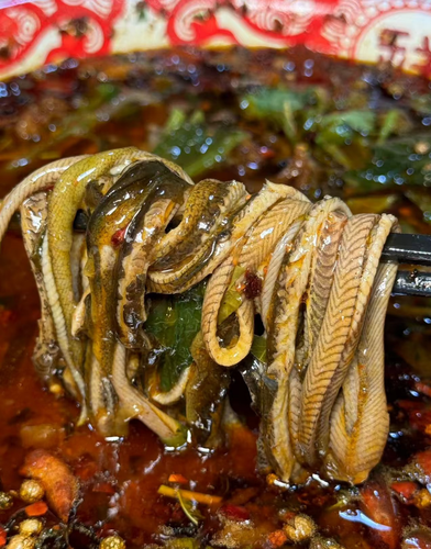 乐山市市中区家飞姐餐饮店（个体工商户）