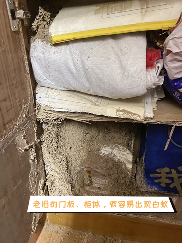 广州市为民白蚁防治中心