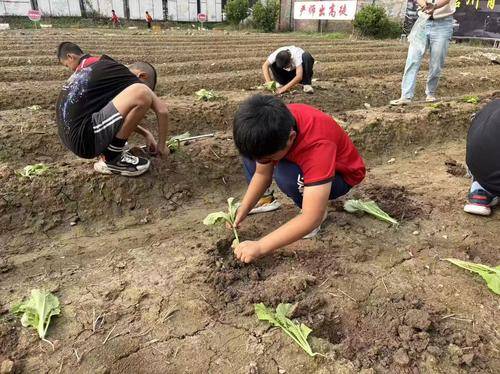 夹江县文礼武术学校