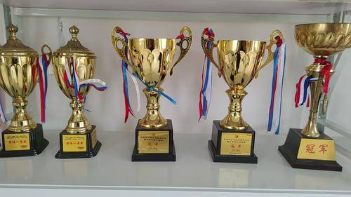 夹江县文礼武术学校